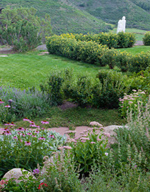 Daisies flower along the stone walkway in the sculpture garden